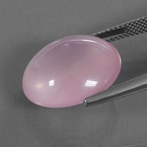 Quartzo rosa rosa natural 16,60ct, corte oval, transparente