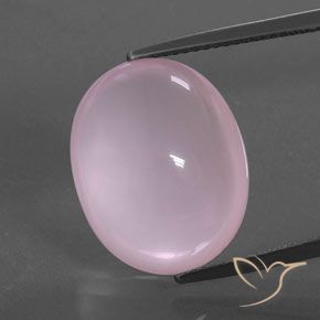15.78ct Natural Rosa chiclete Quartzo Rosa, oval, Transparente