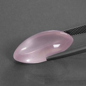 Quartzo rosa rosa natural 18,96ct, marquise, transparente