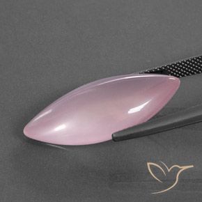 Quartzo Rosa rosa rosa Natural 16.11ct, Marquesa, Transparente