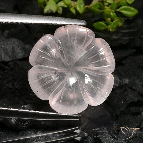 9.02ct Natural Luz rosa Quartzo Rosa, Flor cortada, Transparente