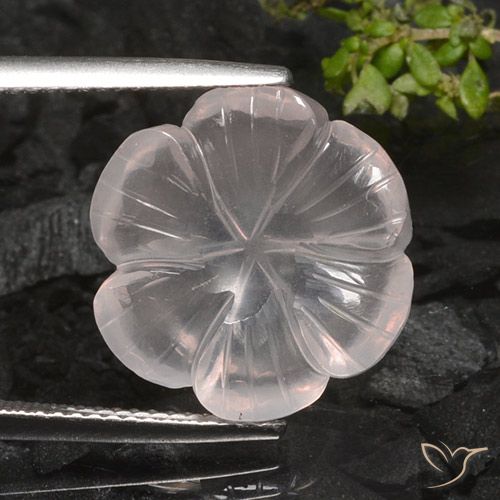 9.52ct Natural Luz rosa Quartzo Rosa, Flor cortada, Transparente