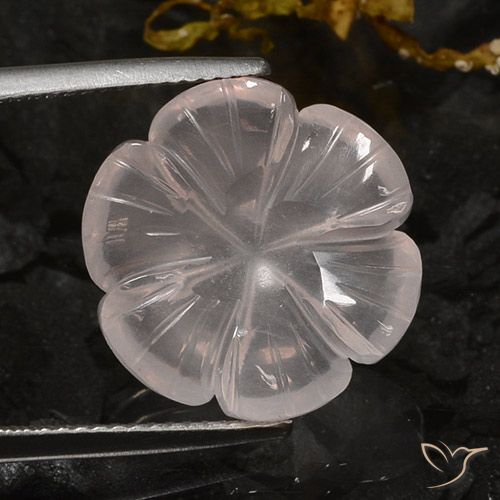 10.56ct Natural Rosa Flamingo Quartzo Rosa, Flor cortada, Transparente