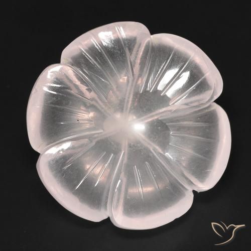 15.54ct Natural Rosa Flamingo Quartzo Rosa, Flor cortada, Transparente