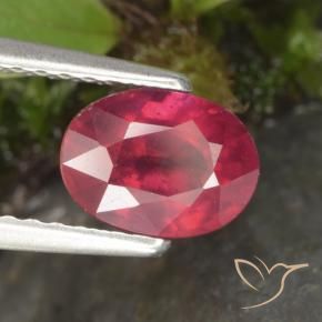 Rubi vermelho médio Natural 1.41ct, oval, VS-SI