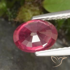 Rubi vermelho médio Natural 1.41ct, oval, VS-SI
