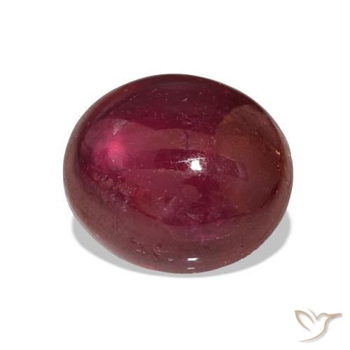Rubi Vermelho escuro Natural 14.49ct, oval, Translúcido