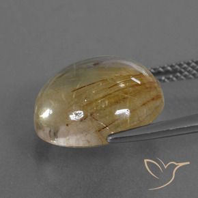 Quartzo Rutilo Castanho Dourado Muito Claro Natural 7.22ct, Redondo, Transparente