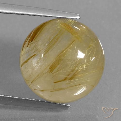 9.04ct Natural Amarelo Dijon Quartzo Rutilo, Redondo, Transparente