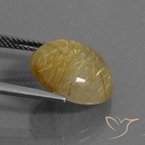 Quartzo Rutilo Ouro Natural 7.70ct, Redondo, Transparente