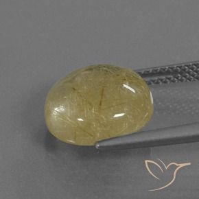 Quartzo Rutilo amarelo médio Natural 5.18ct, Redondo, Transparente