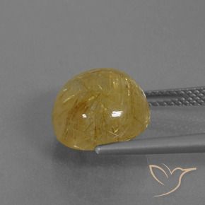 Quartzo Rutilo Amarelo Dijon Natural 6.61ct, Redondo, Translúcido
