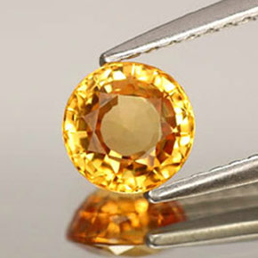 Safira amarelo natural 1,06ct, corte redondo, IF