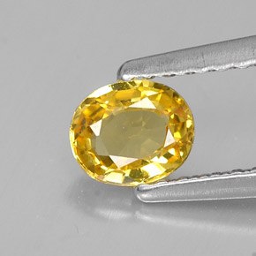 Safira amarelo natural 0,46ct, corte oval, VVS-VS