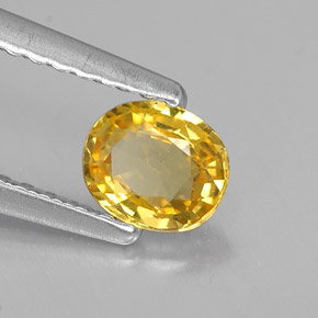 Safira amarelo natural 0,46ct, corte oval, VVS-VS
