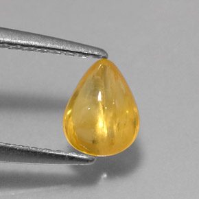 Safira amarelo natural 0,79ct, transparente, transparente/translúcido