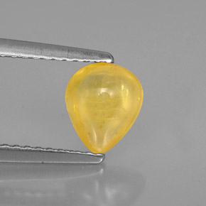 Safira amarelo natural 1,22ct, transparente, transparente/translúcido