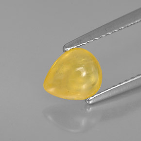Safira amarelo natural 1,22ct, transparente, transparente/translúcido