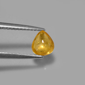 Safira amarelo natural 0,80ct, transparente, transparente/translúcido