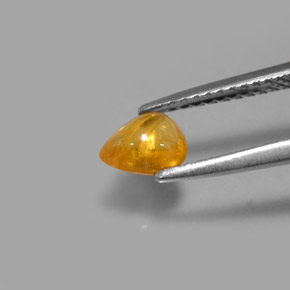 Safira amarelo natural 0,75ct, transparente, transparente/translúcido