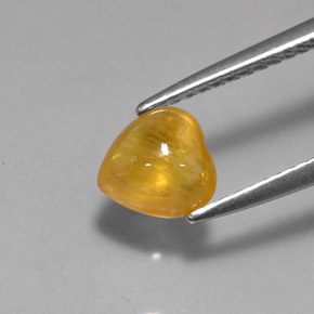 Safira amarelo natural 1,41ct, transparente, transparente/translúcido