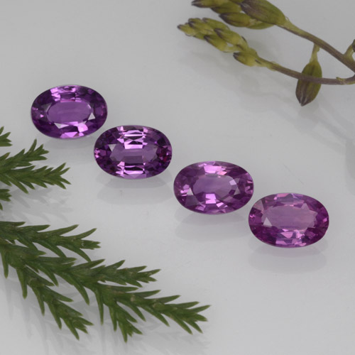 Pedras preciosas de safira roxo natural de 2,23 ct, corte oval, VVS-VS