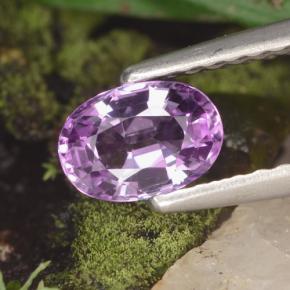 Safira violeta natural 0,60ct, corte oval, VVS-VS