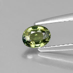 Safira verde natural 0,51ct, corte oval, VVS-VS
