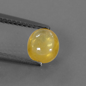 Safira amarelo natural 1,09ct, transparente, transparente/translúcido