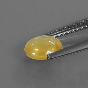 Safira amarelo natural 1,09ct, transparente, transparente/translúcido