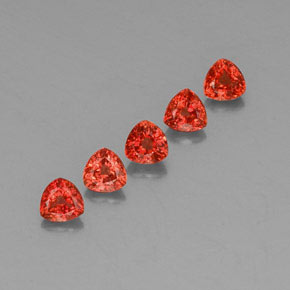 Pedras preciosas de safira laranja natural de 1,87 ct, trillion, VVS-VS