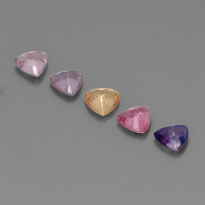 Pedras preciosas de safira multicolorido natural de  ct, trillion, VVS-VS
