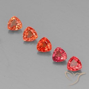 Pedras preciosas de safira multicolorido natural de 1,76 ct, trillion, VVS-VS