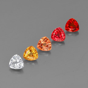 Pedras preciosas de safira multicolorido natural de  ct, trillion, VVS-VS