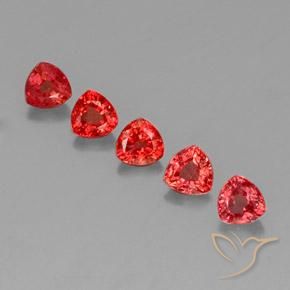 Pedras preciosas de Safira Vermelho brilhante natural de 1.83 ct, Trilhão, VVS-VS
