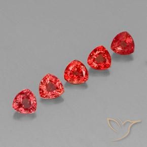 Pedras preciosas de Safira Vermelho brilhante natural de 1.83 ct, Trilhão, VVS-VS