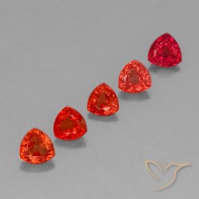 Pedras preciosas de Safira Vermelho Carmesim Brilhante natural de 1.77 ct, Trilhão, VVS-VS