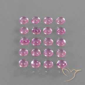 Pedras preciosas de Safira Rosa bem claro natural de 3.87 ct, Redondo, Transparente