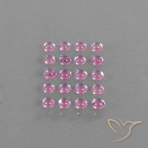 Pedras preciosas de Safira Rosa bem claro natural de 3.87 ct, Redondo, Transparente