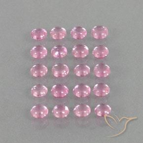 Pedras preciosas de Safira Rosa bem claro natural de 3.17 ct, Redondo, Transparente
