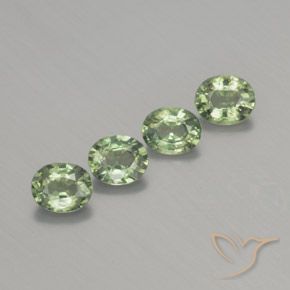 Pedras preciosas de Safira Verde Sábio Claro natural de 1.76 ct, oval, VS