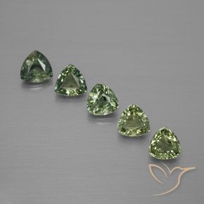 Pedras preciosas de Safira Verde Floresta Claro natural de 1.67 ct, Trilhão, VS