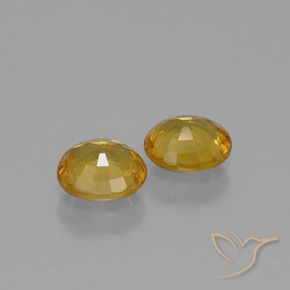 Pedras preciosas de Safira Dourado Médio-escuro natural de 1.52 ct, oval, VS