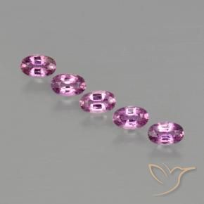 Pedras preciosas de Safira Roxo Rosa natural de 1.60 ct, oval, VS