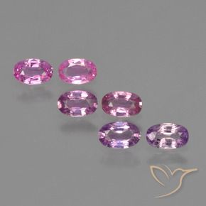 Pedras preciosas de Safira Roxo rosado natural de 1.69 ct, oval, VS