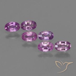 Pedras preciosas de Safira Roxo Rosado Intenso natural de 1.54 ct, oval, VS