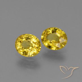 Pedras preciosas de Safira Amarelo natural de 1.48 ct, oval, VS