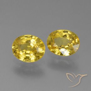 Pedras preciosas de Safira ouro amarelado natural de 1.44 ct, oval, VVS-VS