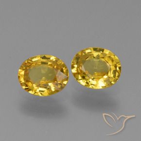 Pedras preciosas de Safira Amarelo escuro natural de 1.34 ct, oval, VVS-VS