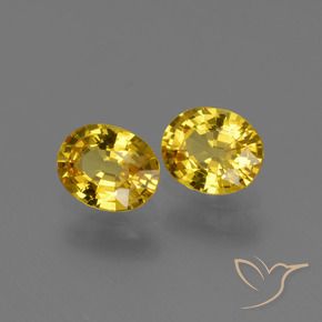 Pedras preciosas de Safira Mel amarelo natural de 1.43 ct, oval, VVS-VS
